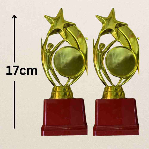 Star Performer Small Trophy (12pcs)