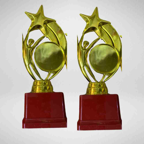 Star Performer Small Trophy (12pcs)