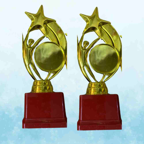 Star Performer Small Trophy (12pcs)