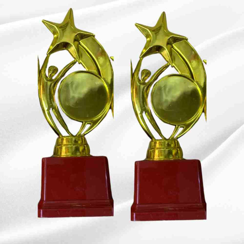 Star Performer Small Trophy (12pcs)