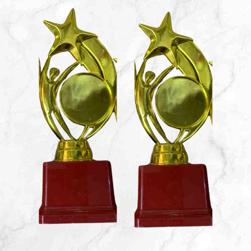 Star Performer Small Trophy (12pcs)