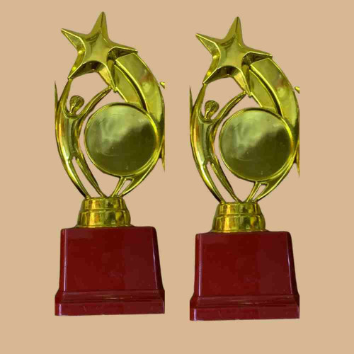 Star Performer Small Trophy (72pcs)