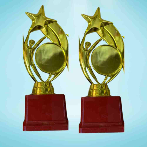 Star Performer Small Trophy (72pcs)