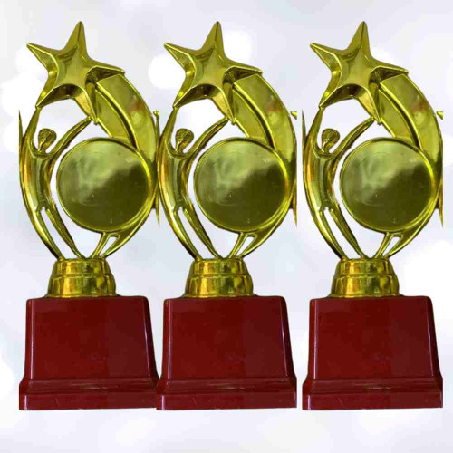 Star Performer Small Trophy (72pcs)