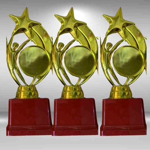 Star Performer Small Trophy (72pcs)