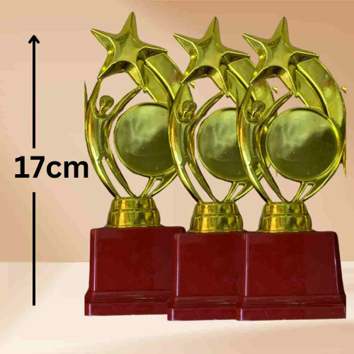 Star Performer Small Trophy (72pcs)