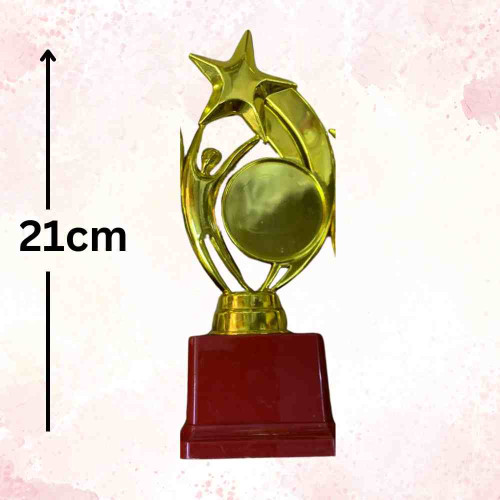 Star Performer Medium Trophy (1pcs)