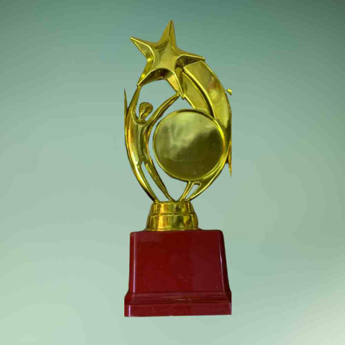 Star Performer Medium Trophy (1pcs)