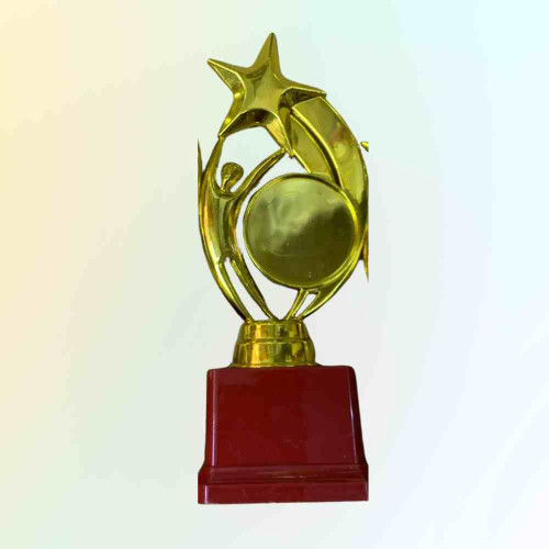 Star Performer Medium Trophy (1pcs)