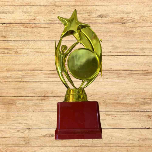 Star Performer Medium Trophy (1pcs)