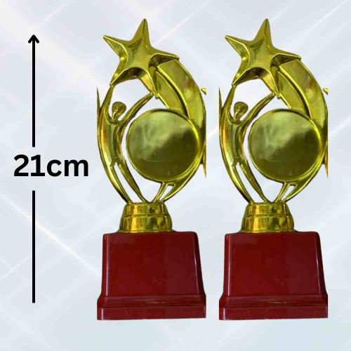 Star Performer Medium Trophy (12pcs)