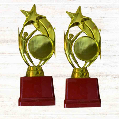 Star Performer Medium Trophy (12pcs)