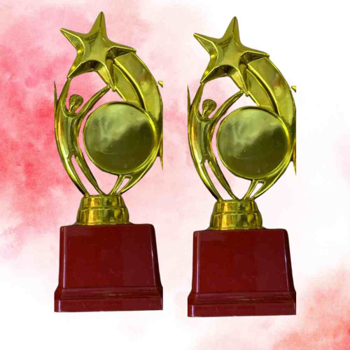 Star Performer Medium Trophy (12pcs)