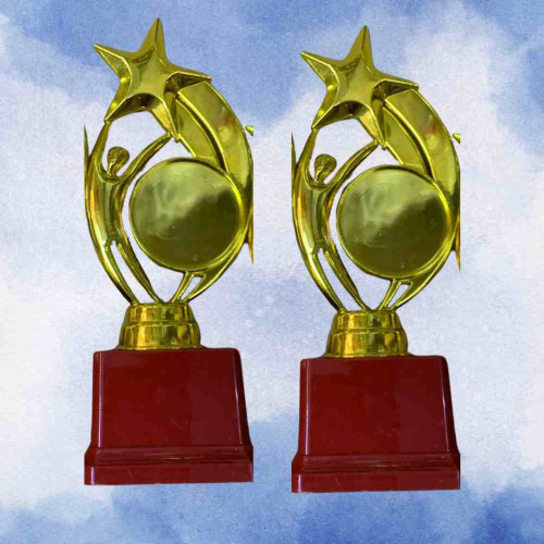 Star Performer Medium Trophy (12pcs)