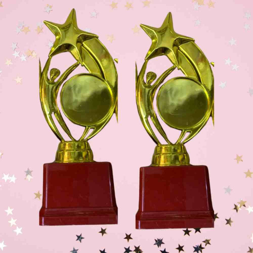 Star Performer Medium Trophy (12pcs)