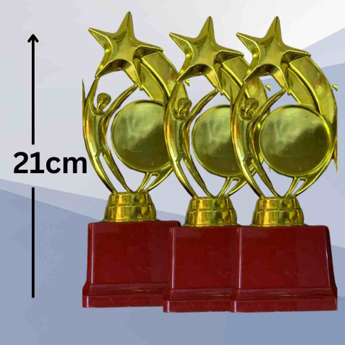 Star Performer Medium Trophy (72pcs)