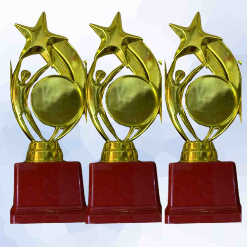 Star Performer Medium Trophy (72pcs)