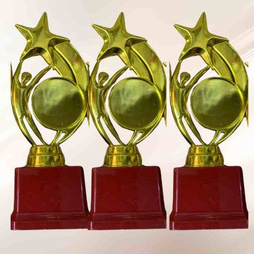 Star Performer Medium Trophy (72pcs)