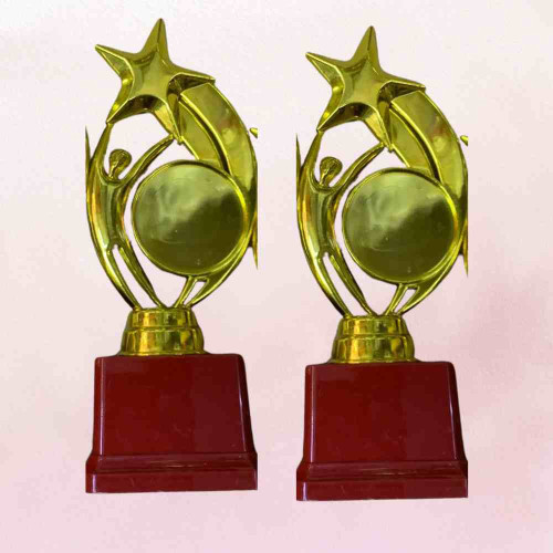 Star Performer Medium Trophy (72pcs)