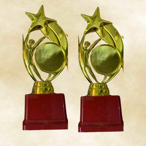 Star Performer Medium Trophy (72pcs)