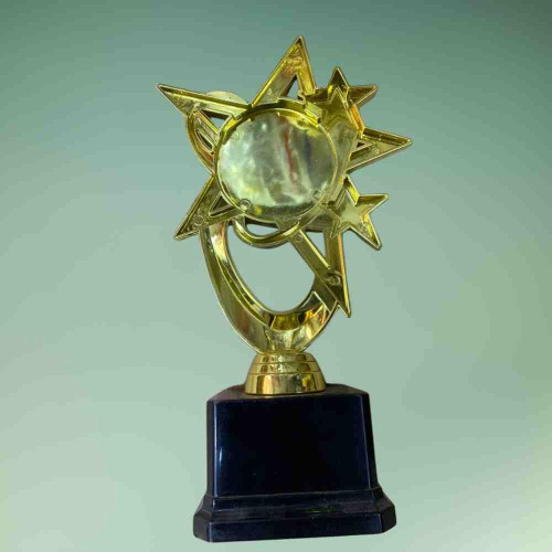 Bright Star Award (1pcs)