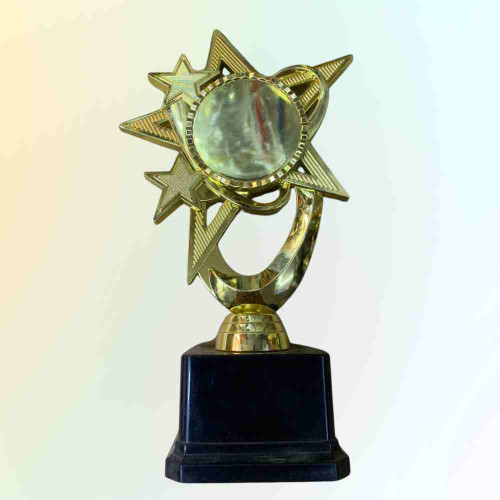 Bright Star Award (1pcs)