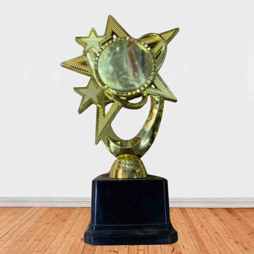 Bright Star Award (1pcs)