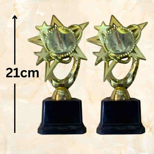 Bright Star Award (12pcs)