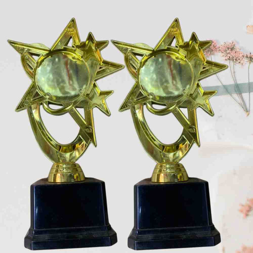 Bright Star Award (12pcs)