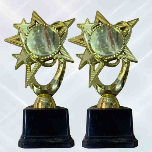 Bright Star Award (12pcs)