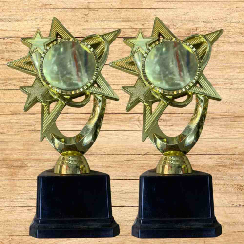 Bright Star Award (12pcs)