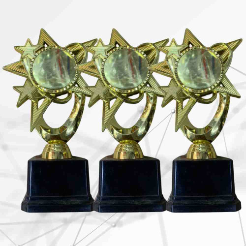 Bright Star Award (72pcs)