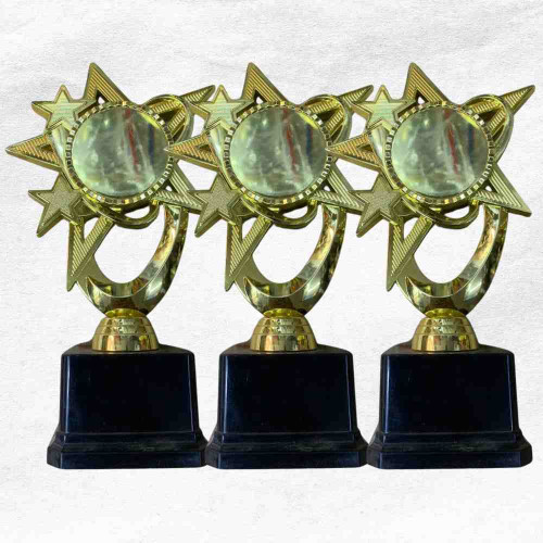 Bright Star Award (72pcs)