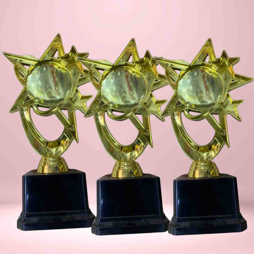 Bright Star Award (72pcs)