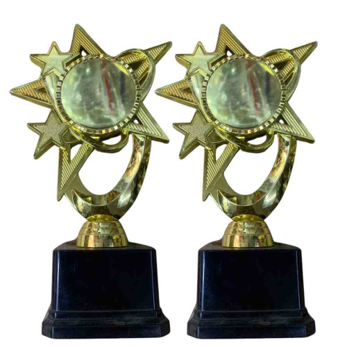 Bright Star Award (72pcs)