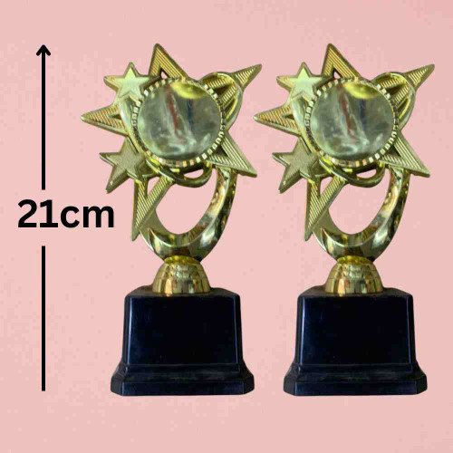 Bright Star Award (72pcs)