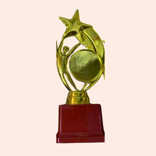 Star Performer Big Trophy (1pcs)