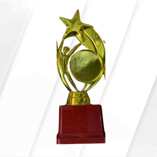 Star Performer Big Trophy (1pcs)