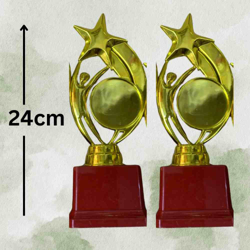 Star Performer Big Trophy (12pcs)