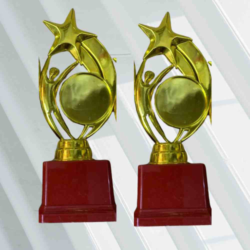 Star Performer Big Trophy (12pcs)