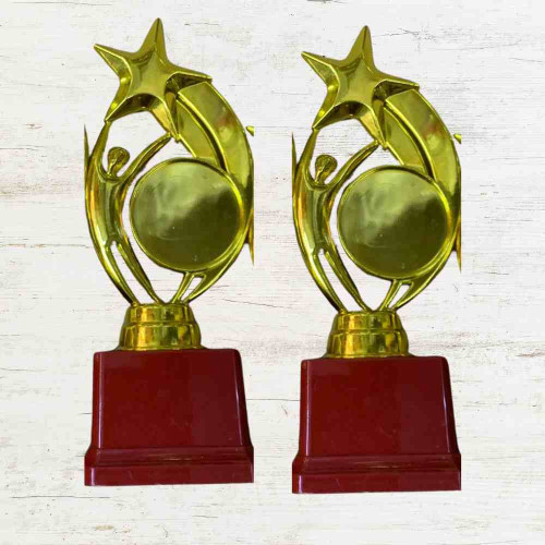 Star Performer Big Trophy (12pcs)