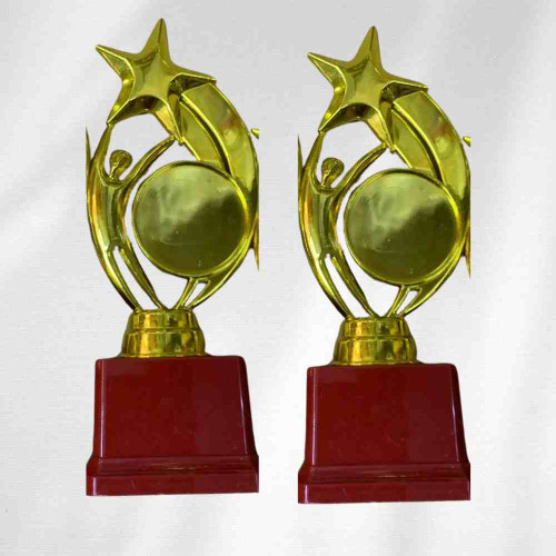 Star Performer Big Trophy (12pcs)