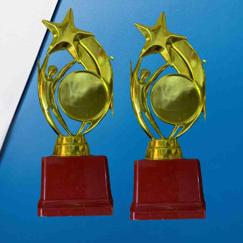 Star Performer Big Trophy (12pcs)