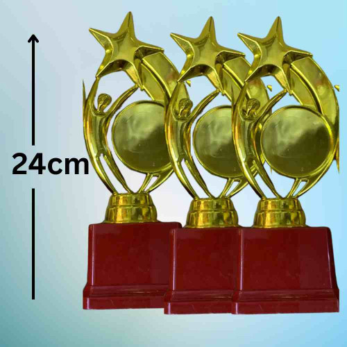 Star Performer Big Trophy (72pcs)