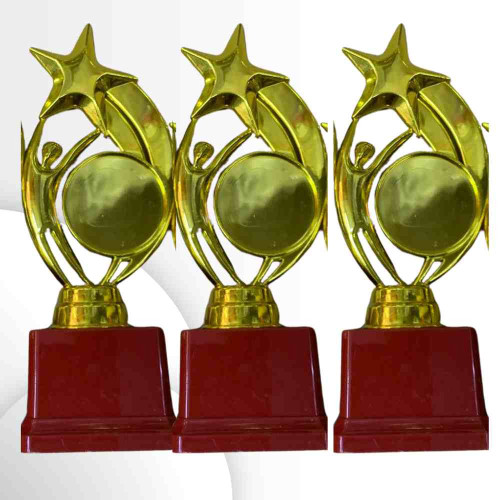 Star Performer Big Trophy (72pcs)