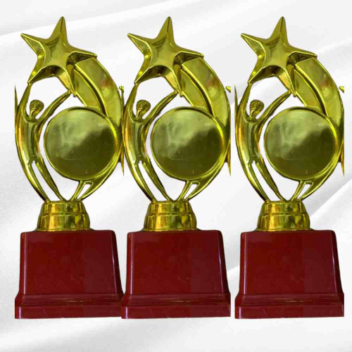 Star Performer Big Trophy (72pcs)