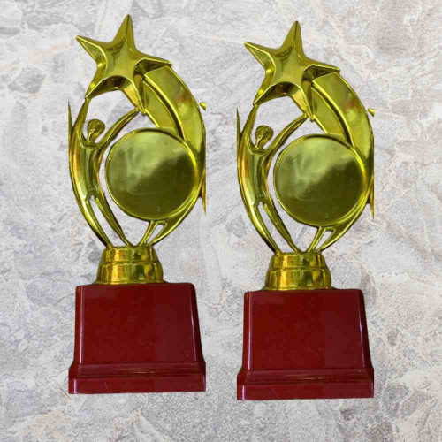 Star Performer Big Trophy (72pcs)