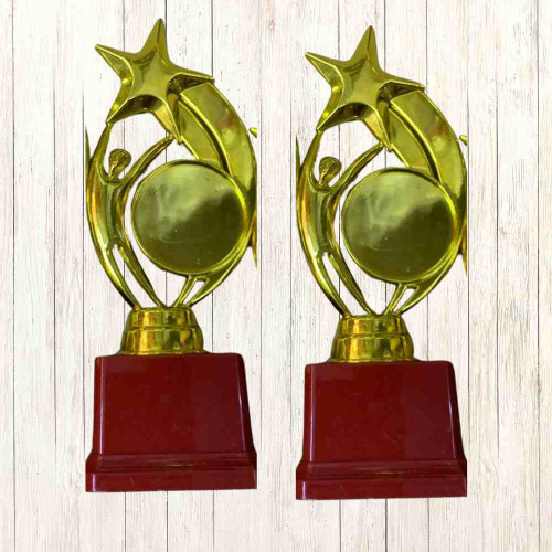 Star Performer Big Trophy (72pcs)