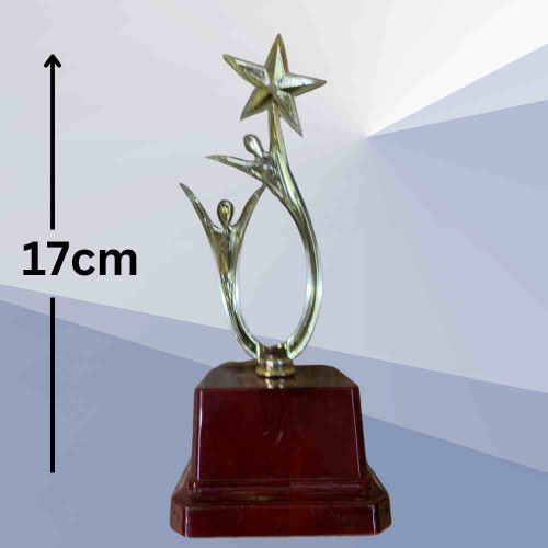 Shining Achievement Award (1pcs)