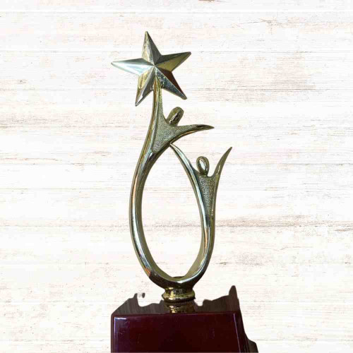 Shining Achievement Award (1pcs)